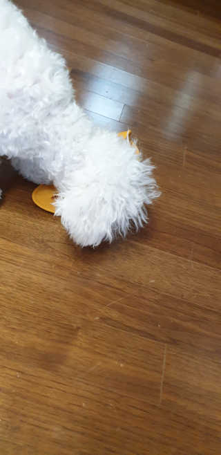 꾸왑님이 올린 리뷰 사진 2