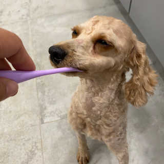 헤이뷰님이 올린 리뷰 사진 4