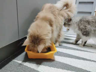 시묘님이 올린 리뷰 사진 3