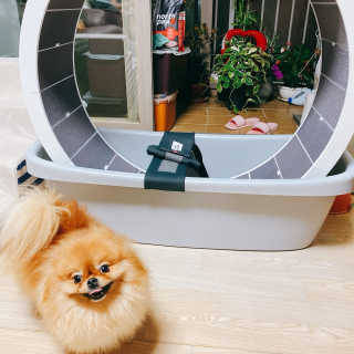 현둥잉님이 올린 리뷰 사진 3