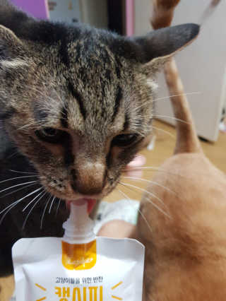 신예지님이 올린 리뷰 사진 3