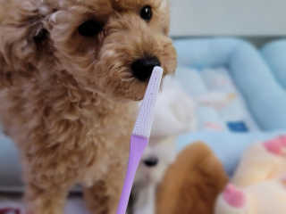 쭈야님이 올린 리뷰 사진 2