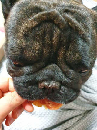 탱크돌콩님이 올린 리뷰 사진 2