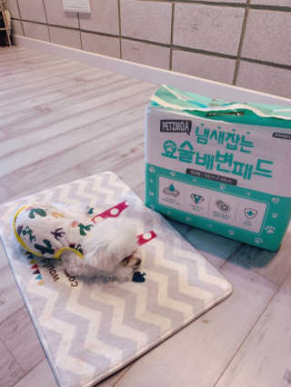 소미님이 올린 리뷰 사진 2