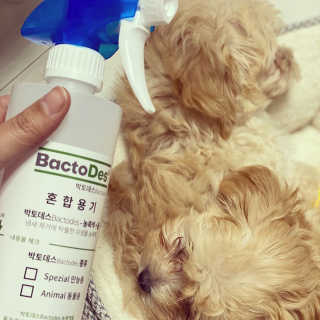 칸쵸님이 올린 리뷰 사진 1