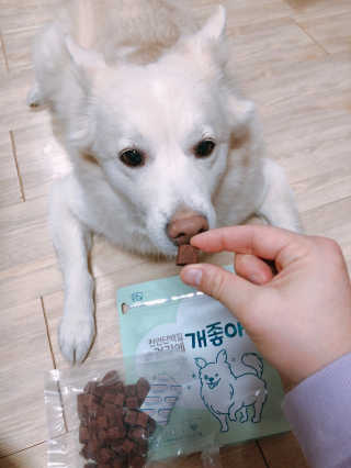 My Pet Care 천연단백질 눈건강에 개좋아 — 5점을 준 리뷰어가 2020년 12월 올린 사용 사진