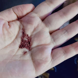 광주아가부기맘님이 올린 리뷰 사진 3