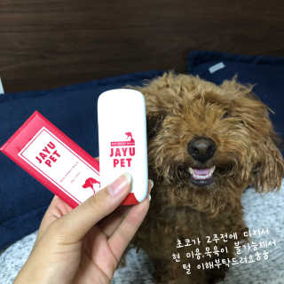 [레드허니밤]자유펫 고양이 강아지 발바닥 밤 14g — 5점을 준 리뷰어가 2020년 7월 올린 사용 사진