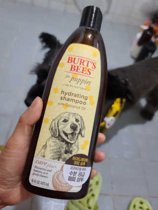 푸름님이 올린 리뷰 사진 1