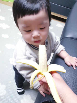 [스미후루] 감숙왕 바나나 1팩 1.3kg + 담요 + 스티커 — 5점을 준 리뷰어가 2020년 10월 올린 사용 사진