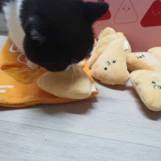 고고고님이 올린 리뷰 사진 3