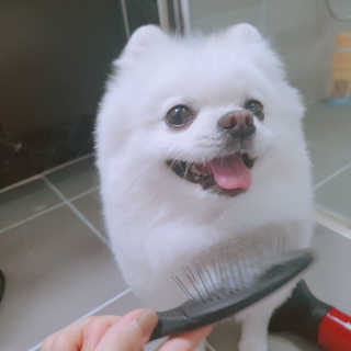 꺼네오기님이 올린 리뷰 사진 3