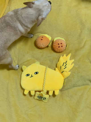 zzizin님이 올린 리뷰 사진 3