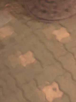 SeoHeePark님이 올린 리뷰 사진 3