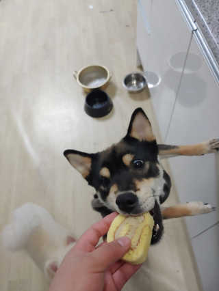 민댕이님이 올린 리뷰 사진 2