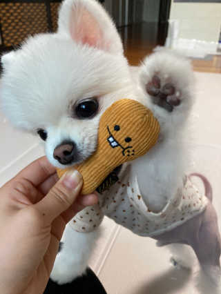 예린최님이 올린 리뷰 사진 1