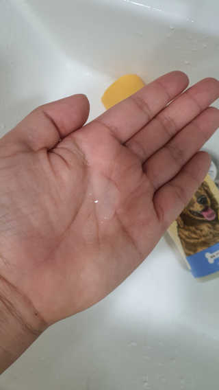손바닥님이 올린 리뷰 사진 3