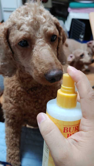 무지개둥이네님이 올린 리뷰 사진 3