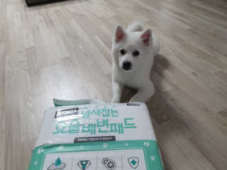 김선아님이 올린 리뷰 사진 1