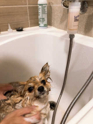 itsnotsobad님이 올린 리뷰 사진 3