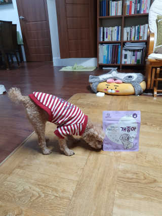 My Pet Care 천연단백질 치아건강에 개좋아 — 5점을 준 리뷰어가 2020년 11월 올린 사용 사진