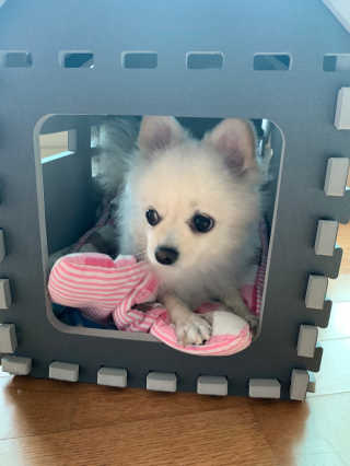 별이빛나길님이 올린 리뷰 사진 3