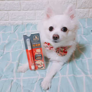 더펫원츠 [5초양치] 멍.치카펜 or 냥.치카펜 or 치카오일펜 — 5점을 준 리뷰어가 2020년 5월 올린 사용 사진