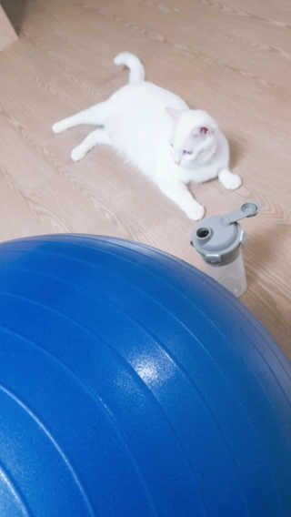대박이님이 올린 리뷰 사진 3