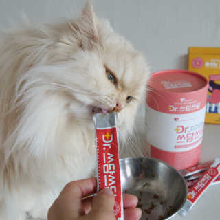 사나님이 올린 리뷰 사진 1