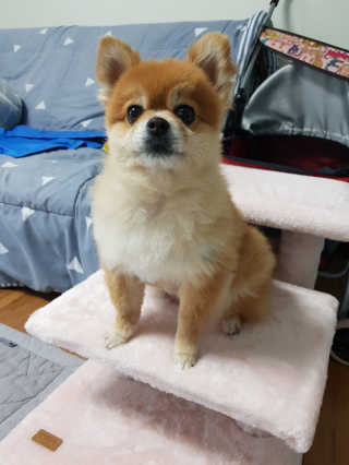 름이가리님이 올린 리뷰 사진 4