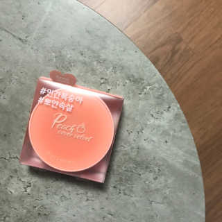 [블랙루즈] 피치 커버 벨벳 쿠션 2종 중 택1 — 5점을 준 리뷰어가 2020년 7월 올린 사용 사진