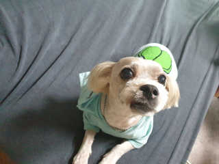sdisksi님이 올린 리뷰 사진 4