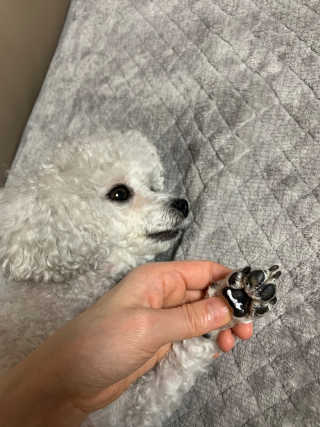 zzzbebemin님이 올린 리뷰 사진 2