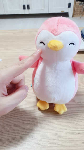더샵토이 핸드메이드 동물 펭귄 애착 봉제인형 — 5점을 준 리뷰어가 2020년 7월 올린 사용 사진