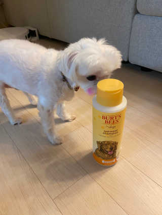 황방울이님이 올린 리뷰 사진 3