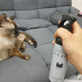 하늘이님이 올린 리뷰 사진 3