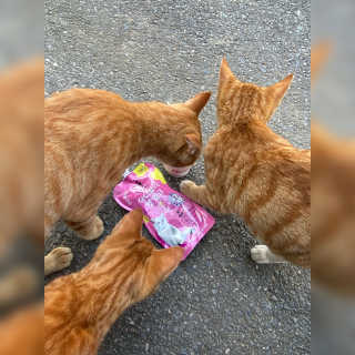 늉2님이 올린 리뷰 사진 3