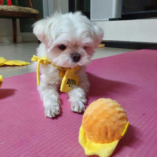hosu.1230님이 올린 리뷰 사진 2