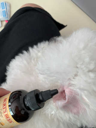 큐티윤님이 올린 리뷰 사진 2