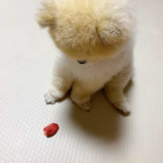 덕구리누나님이 올린 리뷰 사진 3