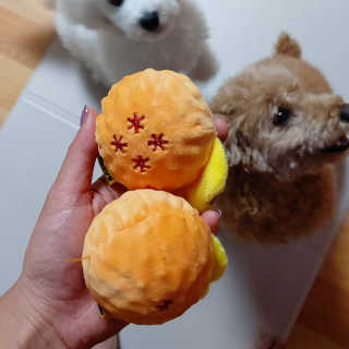 코뚱님이 올린 리뷰 사진 3