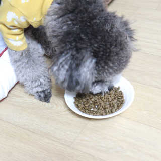 [풀무원 아미오] 자연담은식단 1kg 3종 — 5점을 준 리뷰어가 2020년 12월 올린 사용 사진
