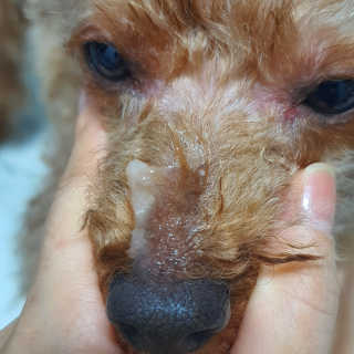 이설님이 올린 리뷰 사진 4
