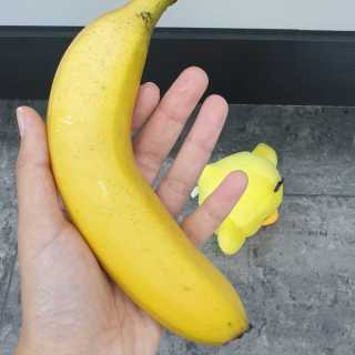 [스미후루] 감숙왕 바나나 2팩 2.6kg 이벤트 — 5점을 준 리뷰어가 2020년 9월 올린 사용 사진