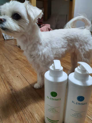 일리세이 허니 샴푸 500ml + 허니 바디워시 500ml 세트 — 5점을 준 리뷰어가 2020년 4월 올린 사용 사진
