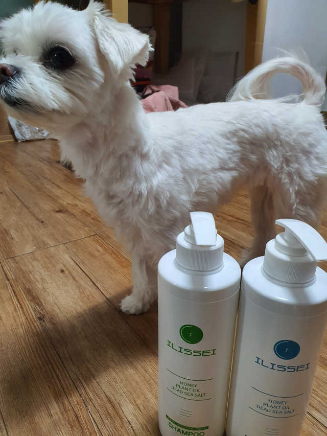 일리세이 허니 샴푸 500ml + 허니 바디워시 500ml 세트 리뷰 사진