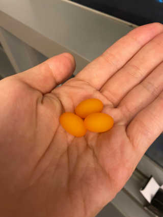 이시은님이 올린 리뷰 사진 4
