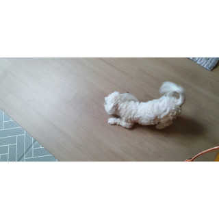 우쭈쭈님이 올린 리뷰 사진 4