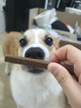 My Pet Care 천연단백질 치아건강에 개좋아 — 5점을 준 리뷰어가 2020년 11월 올린 사용 사진