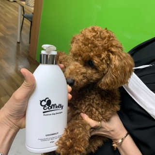 예민한 피부를 위한 코코몰리 All in one 자연유래 샴푸 — 5점을 준 리뷰어가 2020년 9월 올린 사용 사진